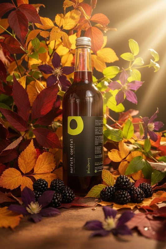 750ml glass bottle containing blackberry cordial