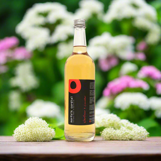 Elderflower & Cucumber 750ml