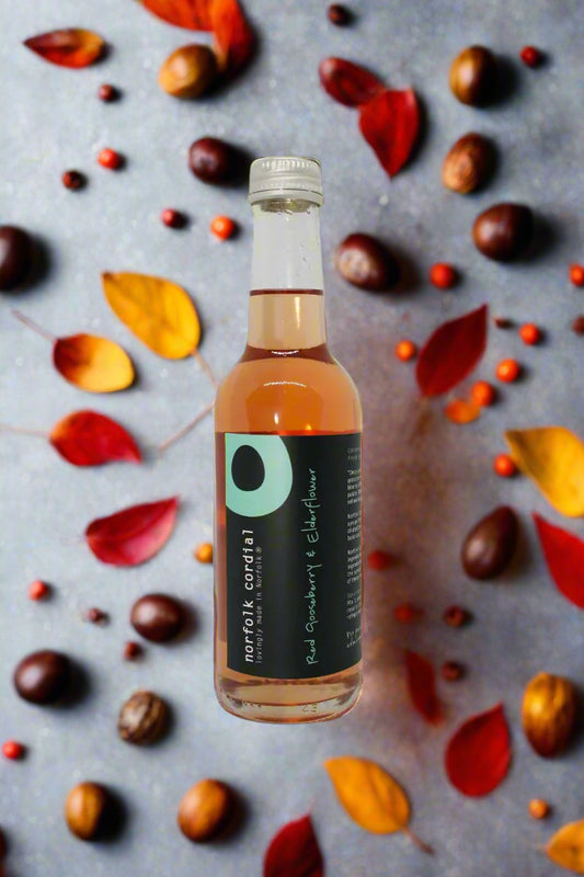 Red Gooseberry & Elderflower 250ml