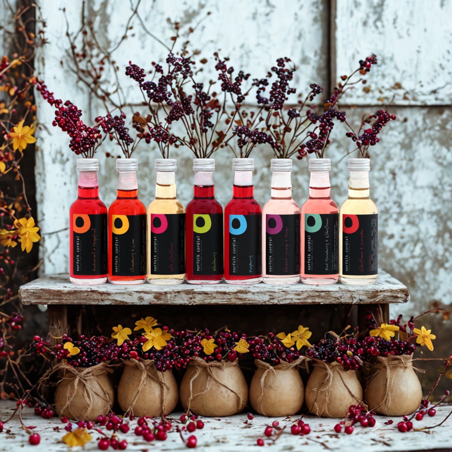 Row of bottles with colorful labels on a wooden shelf, surrounded by decorative plants and flowers.
