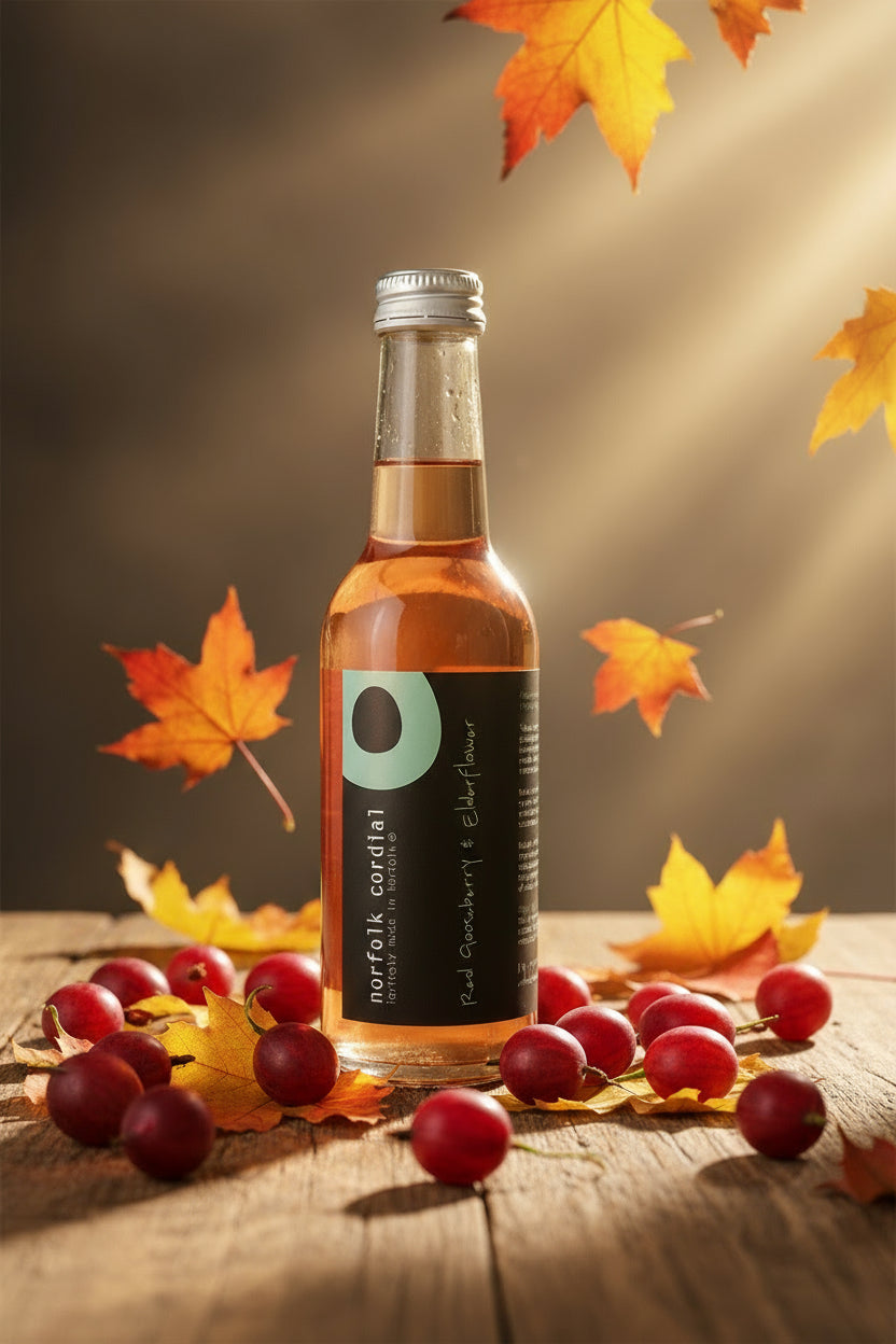 250ml glass bottle of red gooseberry & elderflower norfolk cordial