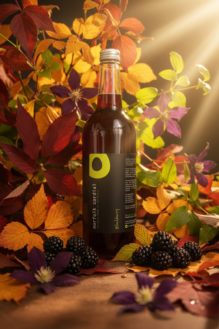 750ml glass bottle containing blackberry cordial