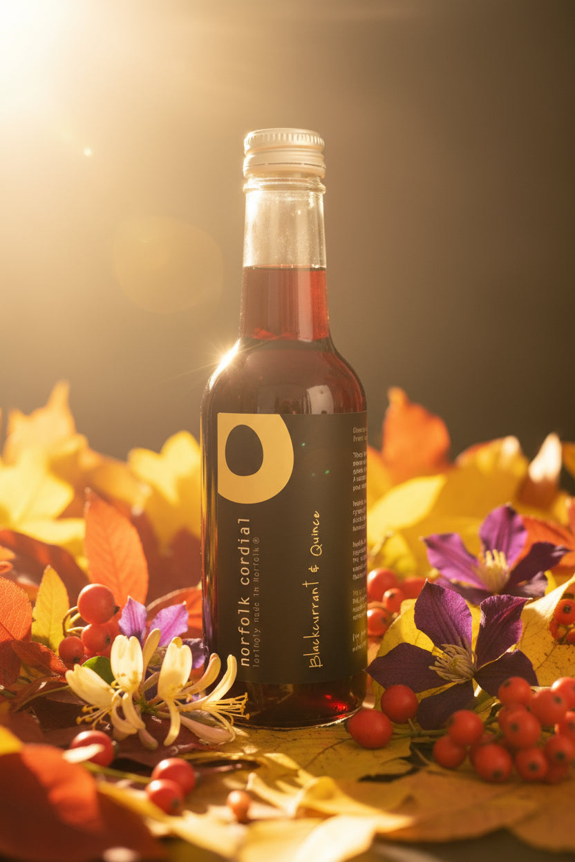 250ml glass bottle of blackcurrant & quince norfolk cordial