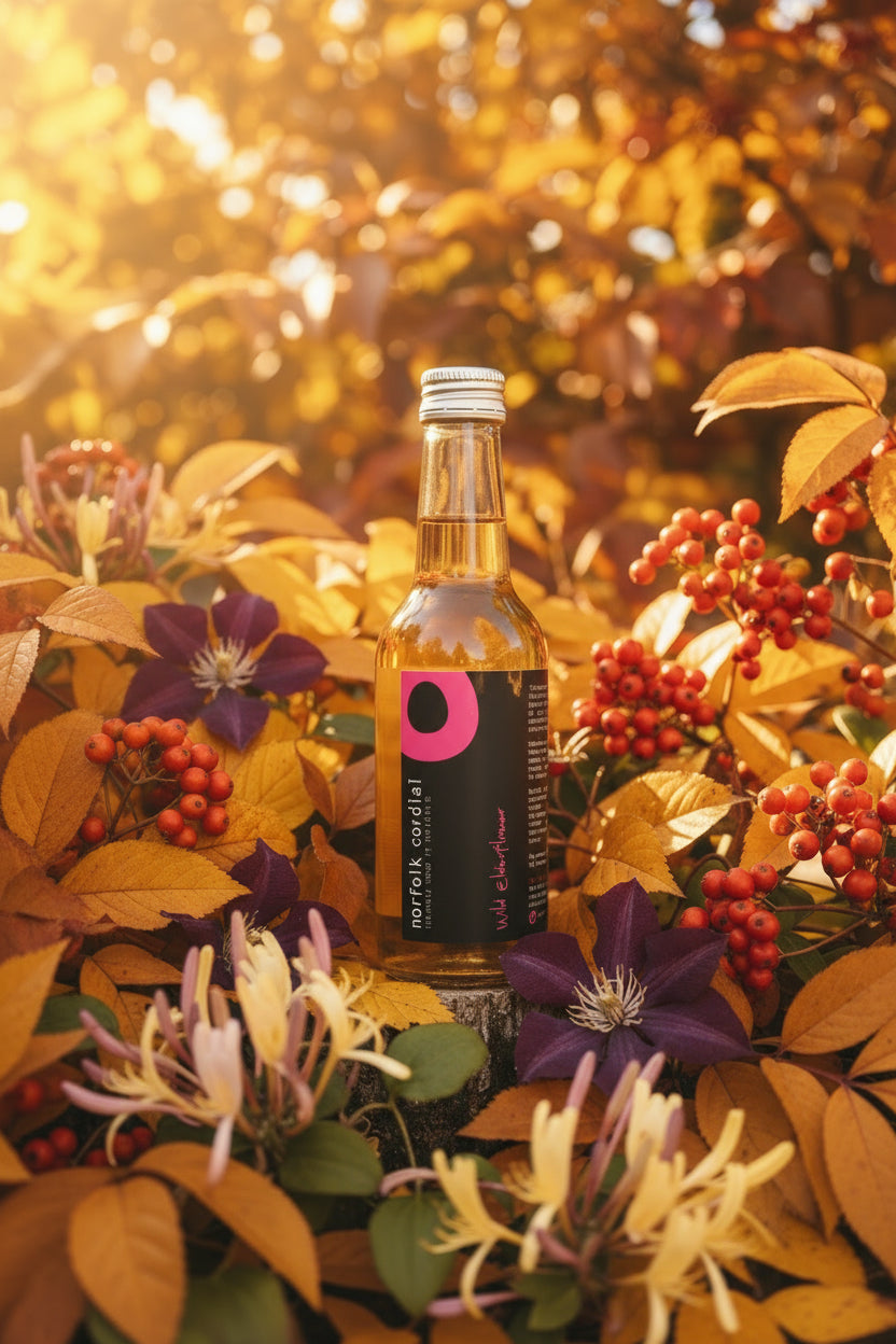 6 bottle 250ml cordial selection