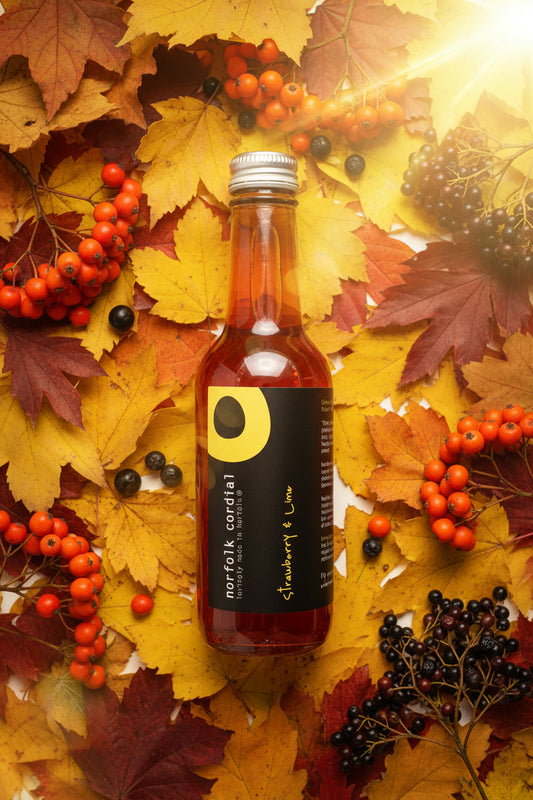 250ml glass bottle containing strawberry & lime Norfolk Cordial