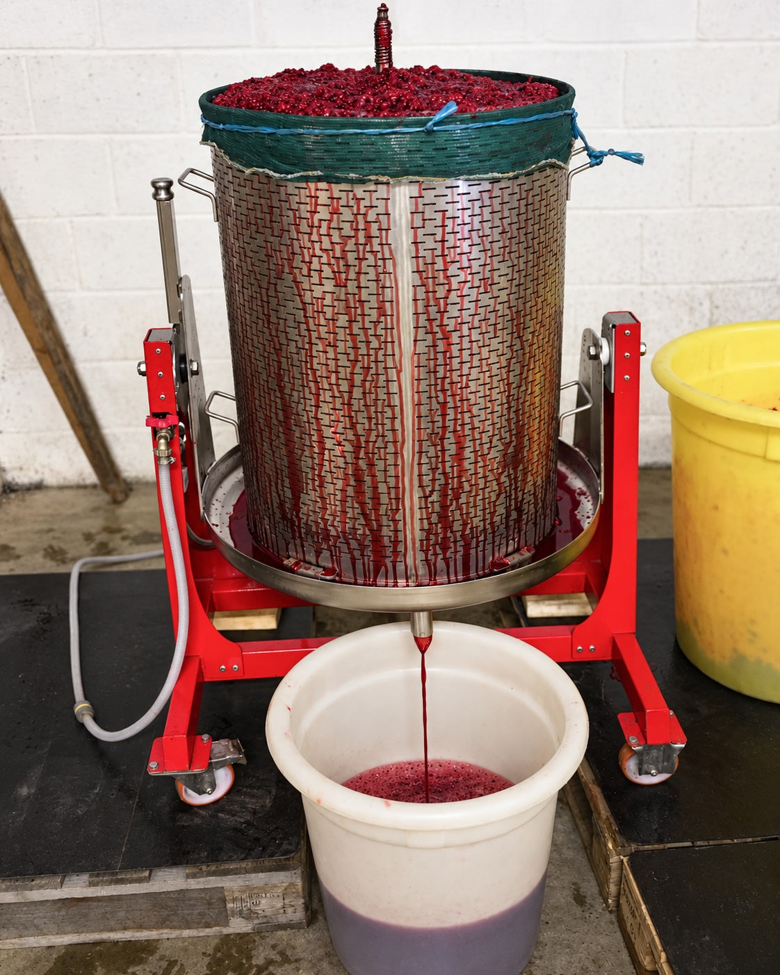 Fresh berries being pressed during small-batch Norfolk Cordial production